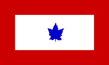 [Official Canadian Service flag]